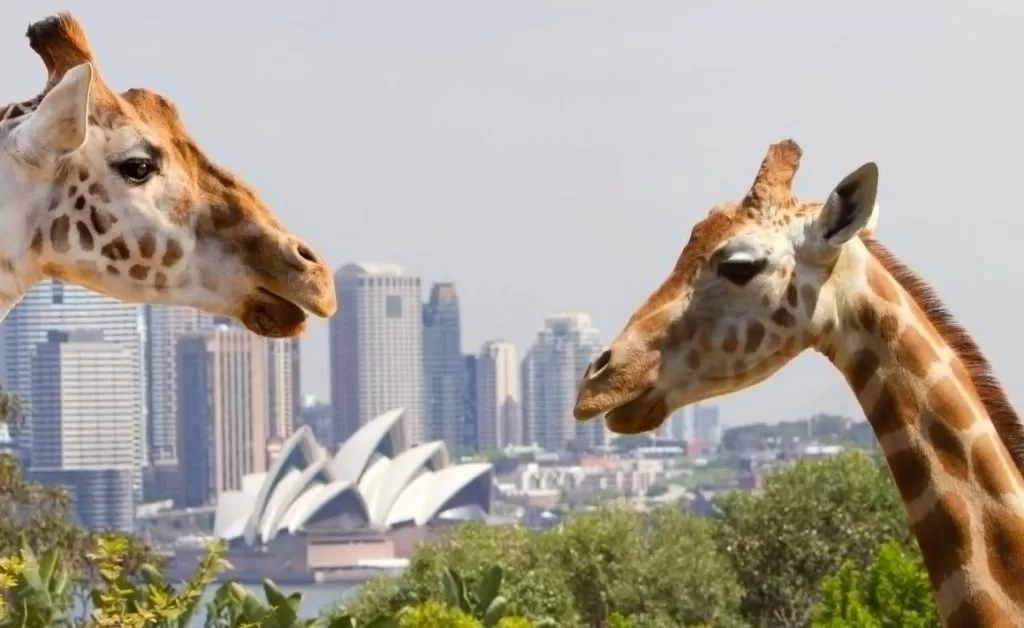 penrith
