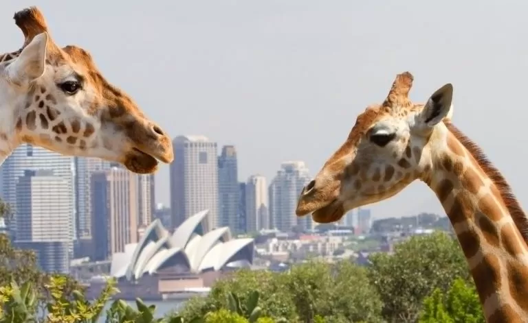 penrith